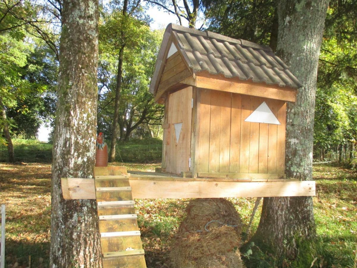 La Griotterie Villa Saint-Amand-en-Puisaye Екстериор снимка